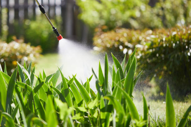 24/7 Emergency Mosquito Control experts in Carpentersville, IL