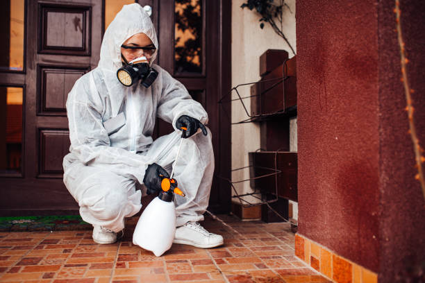 Reliable Mosquito Control contractor in Carpentersville, IL by Show Me Pest Control