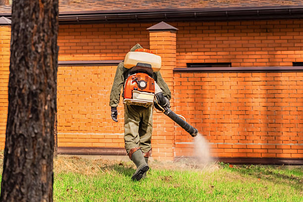 Top rated local Mosquito Control specialists in Carpentersville, IL